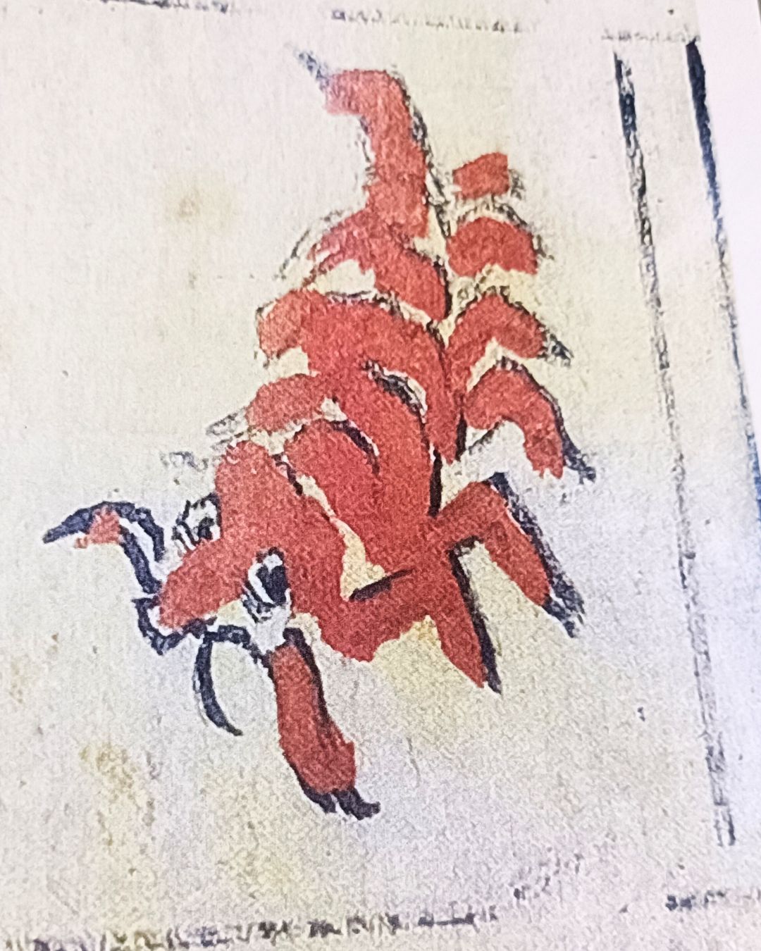 江戸期の旗帳に記された海老図の資料写真